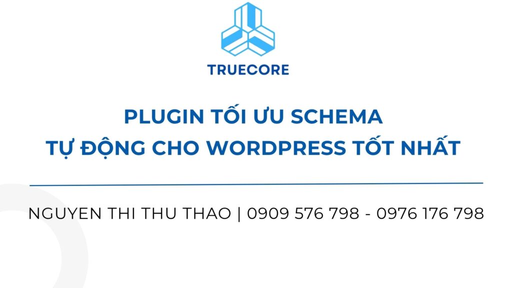 plugin tối ưu schema tự động cho wordpress